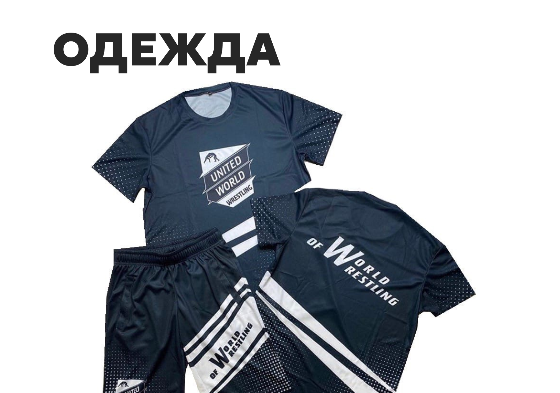 Одежда
